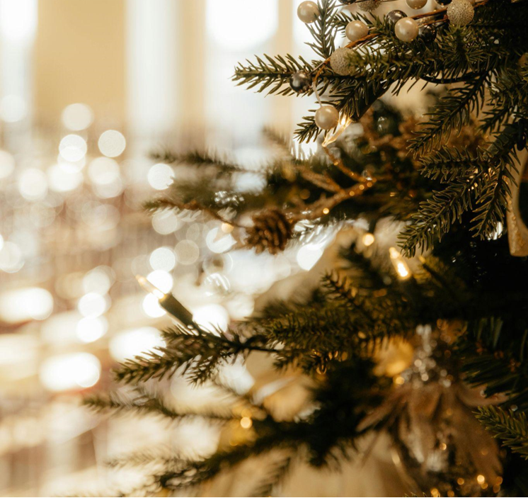 9 Foot Christmas Tree and Accessories Trends